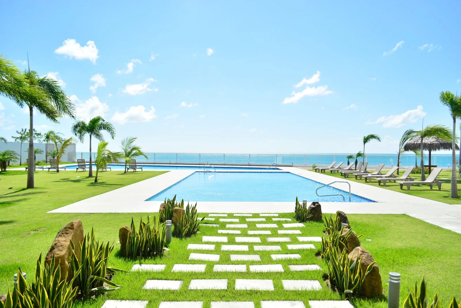 royal-palm3