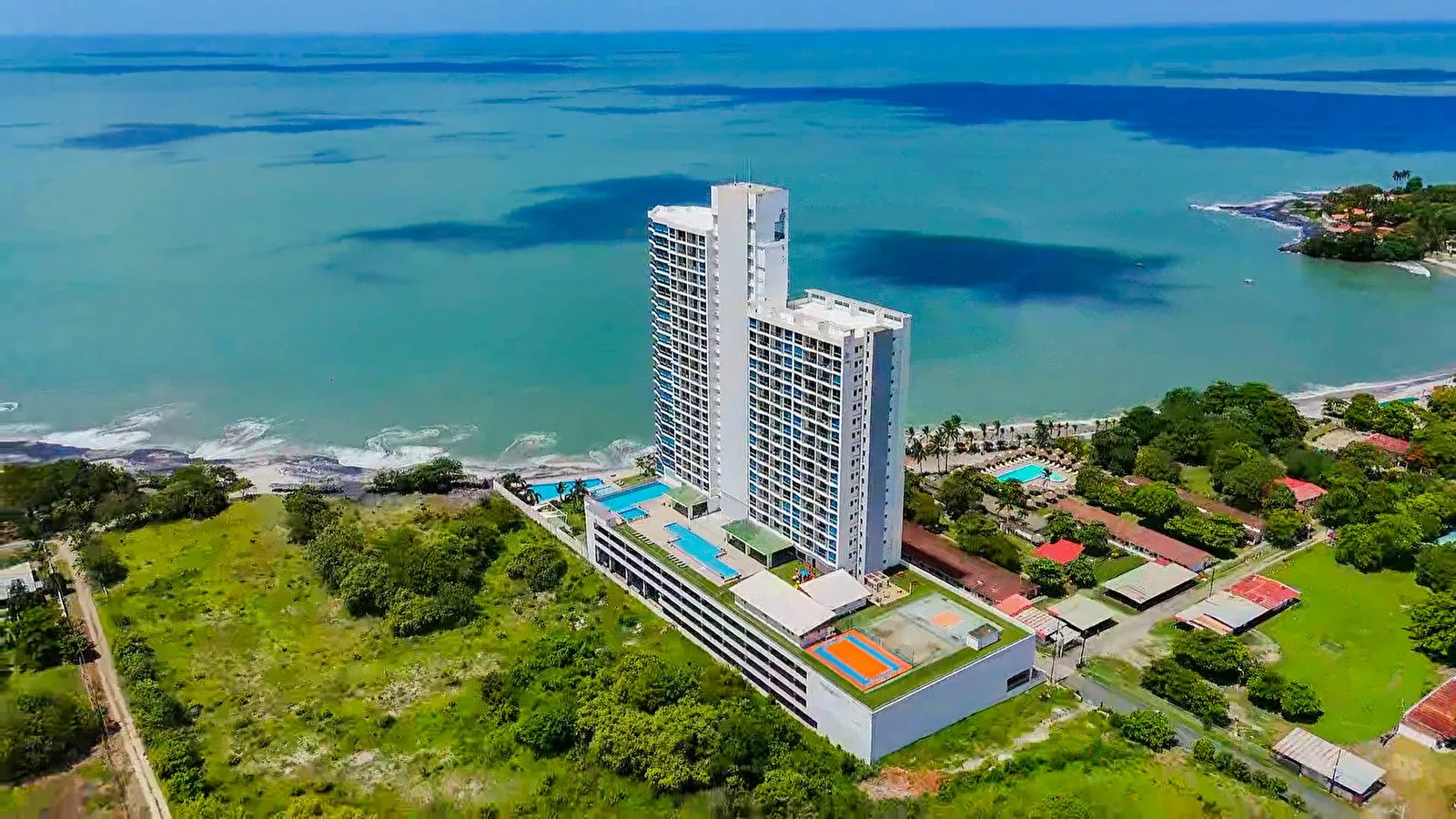 Royal Palm Panama